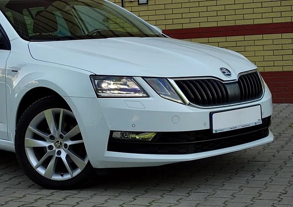 Skoda Octavia cena 62900 przebieg: 199000, rok produkcji 2018 z Elbląg małe 742